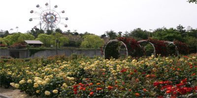 和木町の蜂ヶ峯総合公園